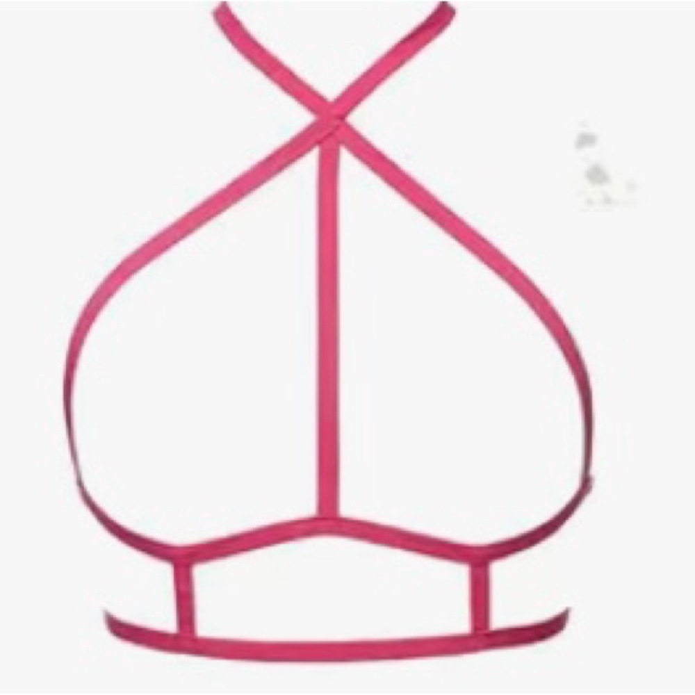 ❗️Pink Elastic Harness OS